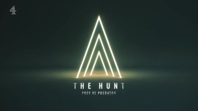 The Hunt