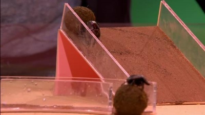 6 Degrees of Separation